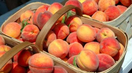 Basket With Peaches Wallpaper Gallery
