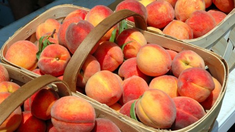 Basket With Peaches wallpapers high quality