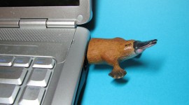 Funny Flash Drives Wallpaper Gallery