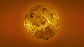 Venus Wallpaper Background