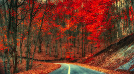 4K Red Autumn Wallpaper Background