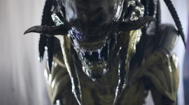 Alien Vs. Predator Desktop Wallpaper