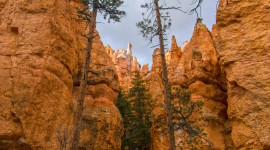 Bryce Canyon Wallpaper For IPhone 6 Download