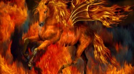 Fire Horse Image Download