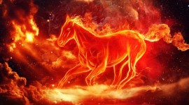 Fire Horse Photo