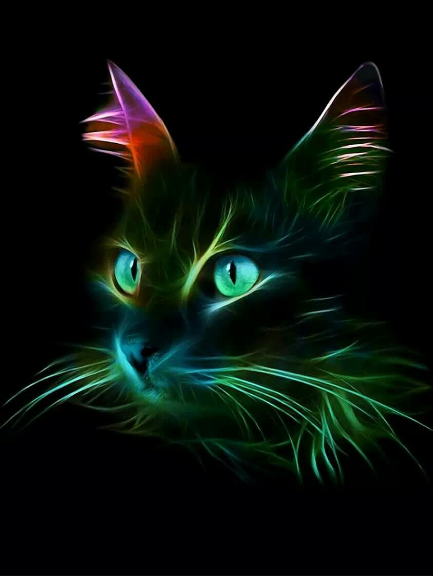 Neon Cat Wallpapers High Quality | Download Free