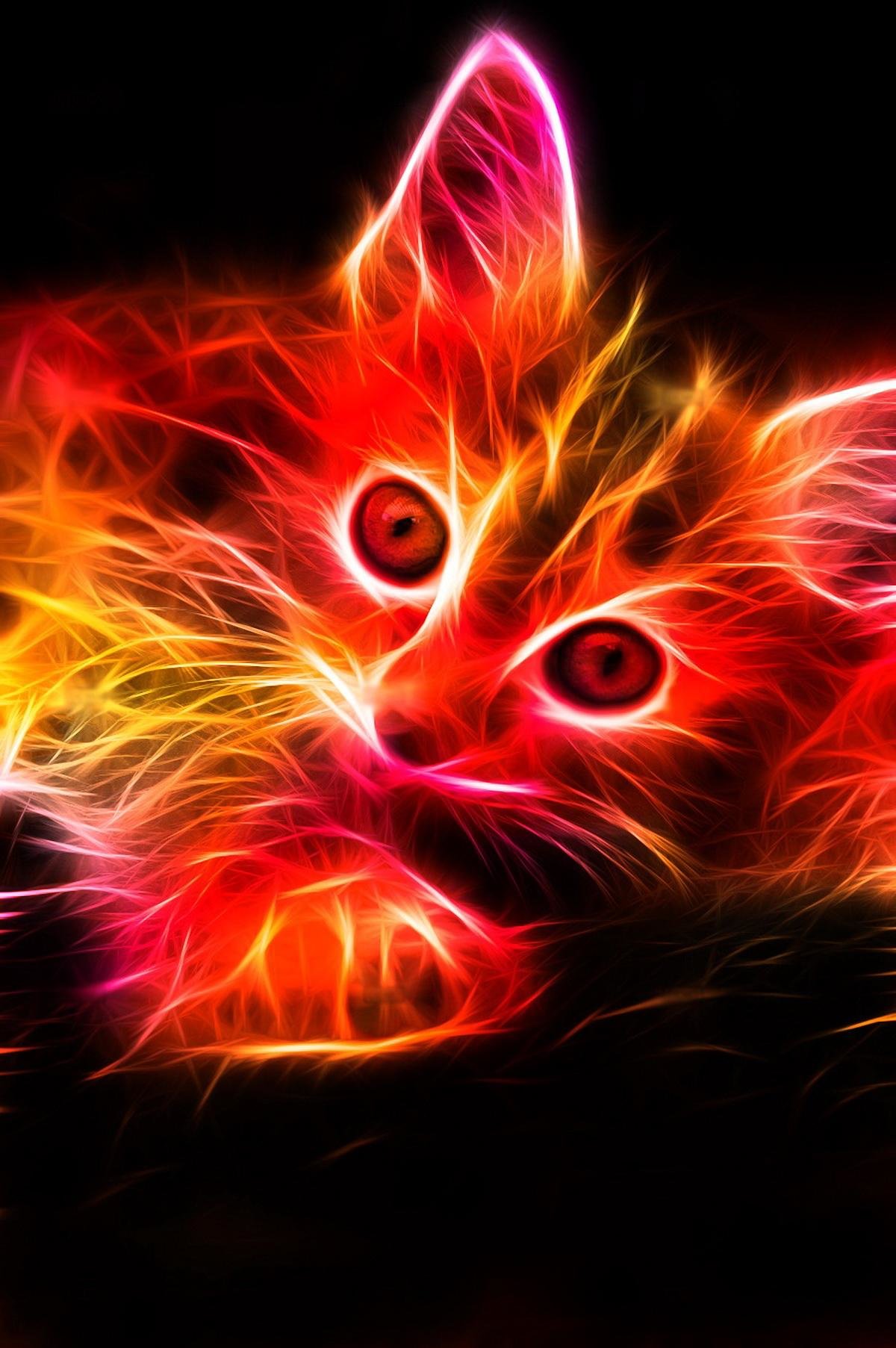 Neon Cat Wallpapers High Quality | Download Free