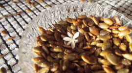 Salted Seeds High Quality Wallpaper