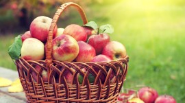 Apples Basket Desktop Wallpaper