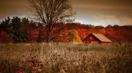 Autumn Fields Photo