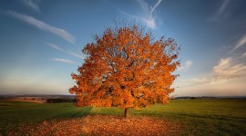 Autumn Fields Photo Download