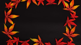 Autumn Leaf Frame Desktop Wallpaper