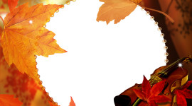 Autumn Leaf Frame Image