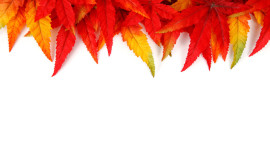 Autumn Leaf Frame Wallpaper For PC