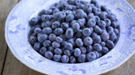 Blueberry Photo