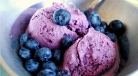 Blueberry Photo Download