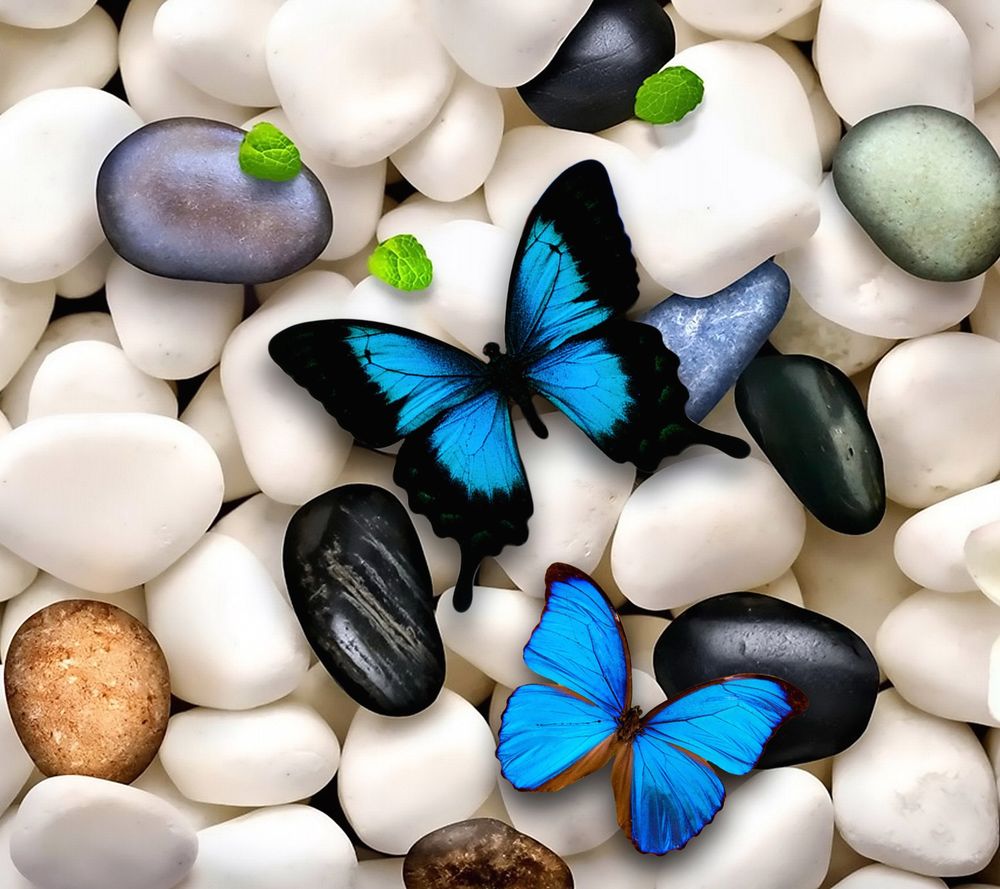 Butterfly Stone wallpapers HD