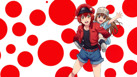 Cells At Work wallpapers high quality