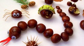 Chestnut Crafts Photo Download