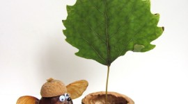 Chestnut Crafts Photo Free