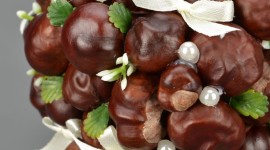Chestnut Crafts Wallpaper For IPhone