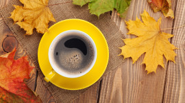 Coffee Autumn Photo