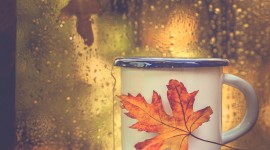 Coffee Autumn Wallpaper For Android