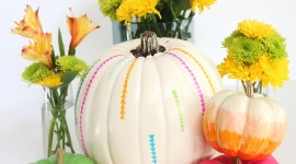 Colorful Pumpkins Wallpaper For Android