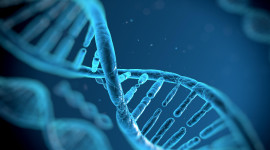 Dna Wallpaper For PC