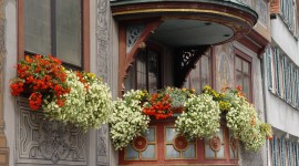 Flowers Balcony Image Download
