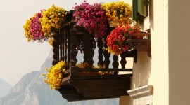 Flowers Balcony Photo Free