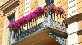 Flowers Balcony Wallpaper For Android
