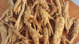 Ginseng Wallpaper For IPhone Free