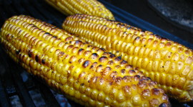 Grilled Corn Photo