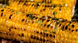 Grilled Corn Wallpaper For Mobile