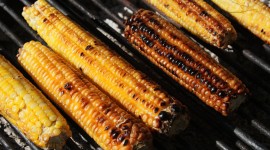 Grilled Corn Wallpaper For PC