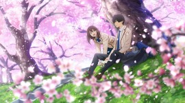 I Want To Eat Your Pancreas Photo