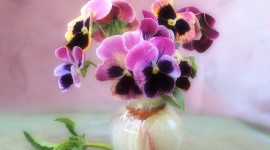 Pansies Vase Image