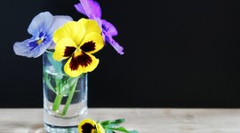 Pansies Vase Picture Download