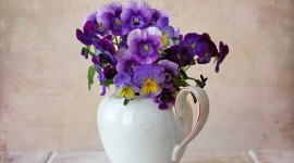 Pansies Vase Wallpaper Download