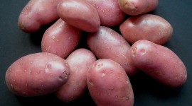 Pink Potato Wallpaper