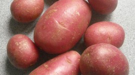 Pink Potato Wallpaper For IPhone Free
