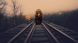 Railway Animals Wallpaper For Desktop