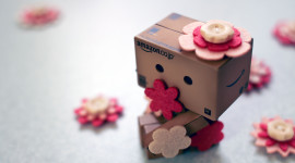 Robot Box Flowers Aircraft Picture