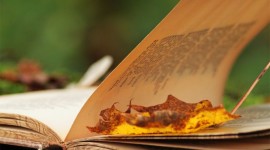 The Autumn Leaf Book For IPhone