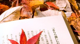 The Autumn Leaf Book For Mobile