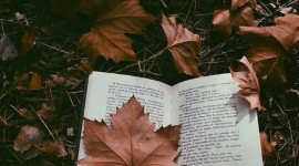 The Autumn Leaf Book For Mobile#2