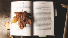 The Autumn Leaf Book Image