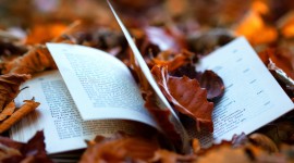 The Autumn Leaf Book Image#1