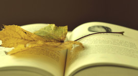 The Autumn Leaf Book Photo Free#2